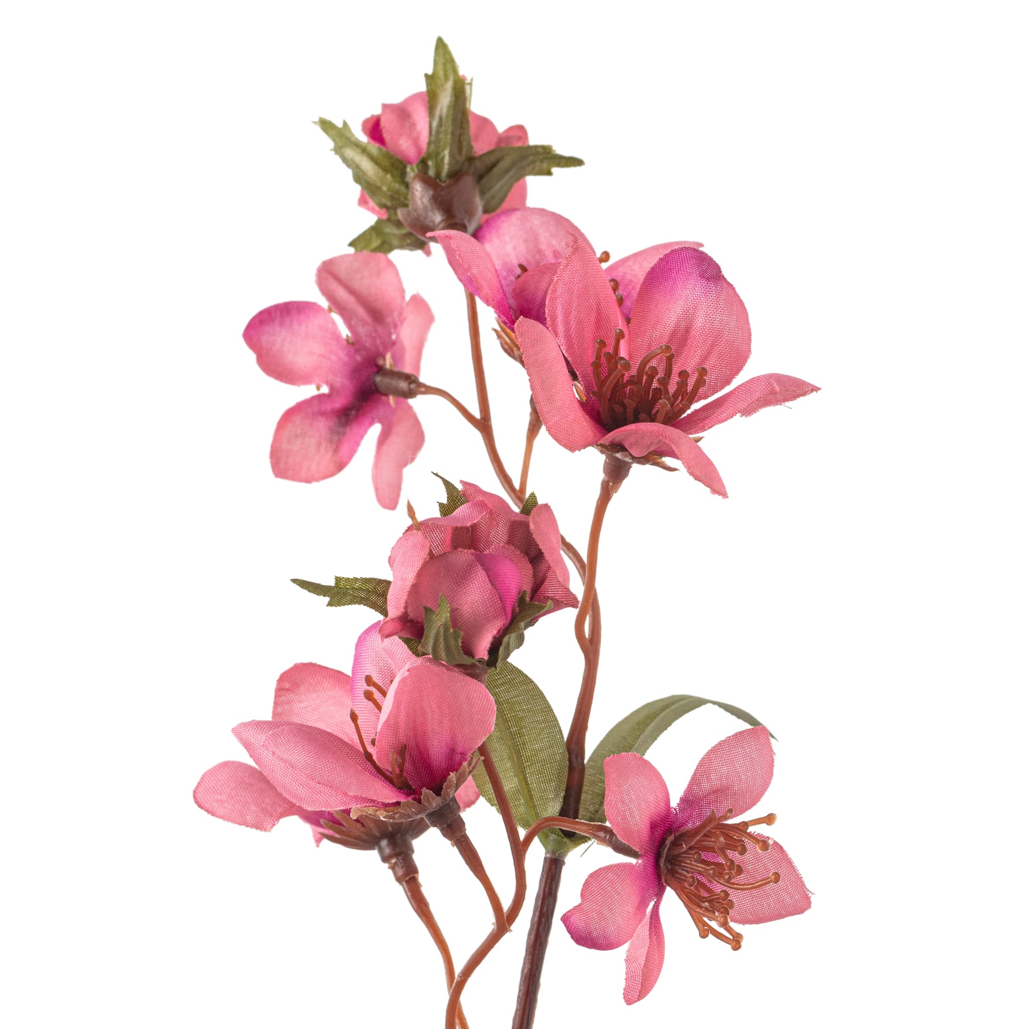 Mauve Stephanotis Stem by Ashland®